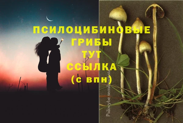 spice Алзамай