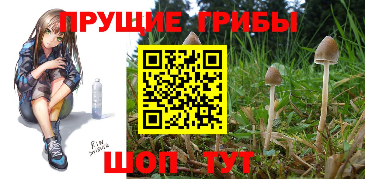 Галлюциногенные грибы мухоморы Кропоткин