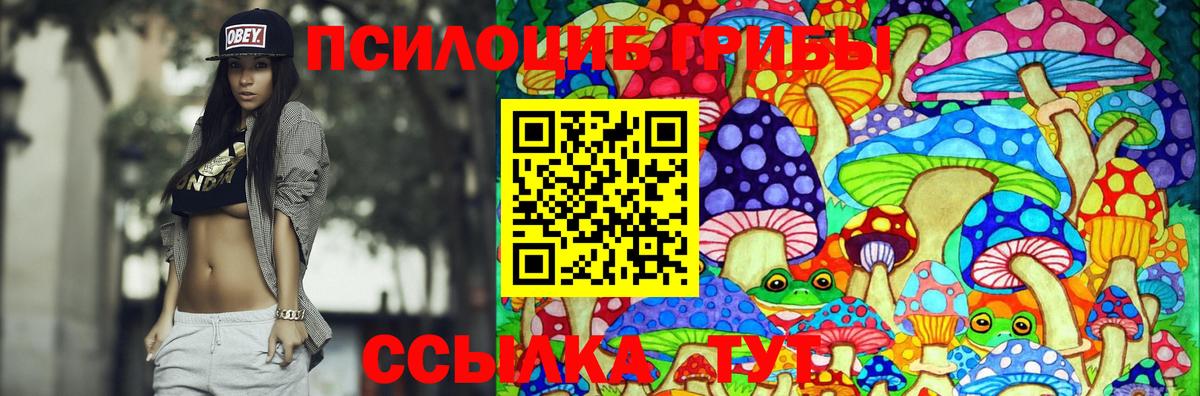 Кропоткин  Псилоцибиновые грибы Cubensis  даркнет сайт  Вход с VPN  Галлюциногенные грибы ЛСД 